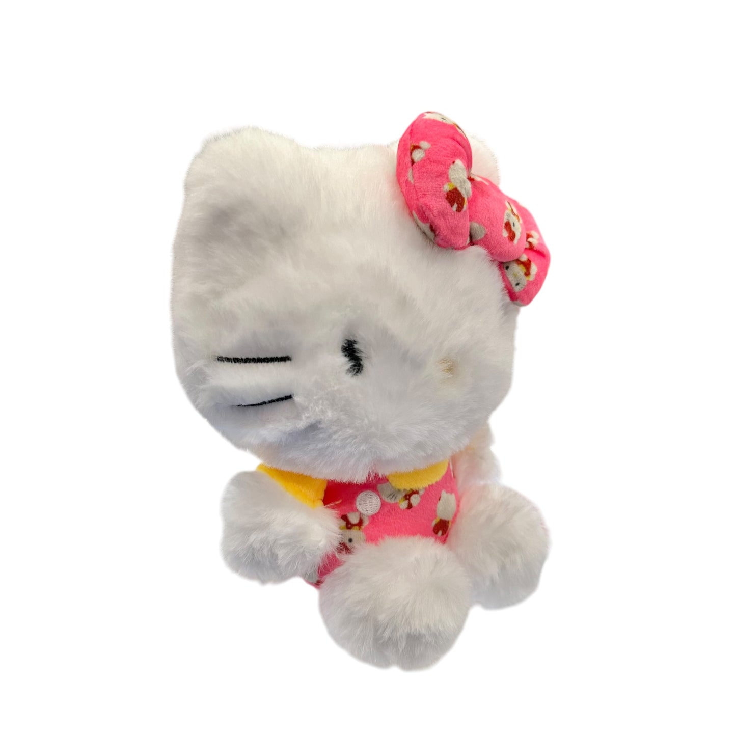 Hello Kitty "Photo" Bean Doll