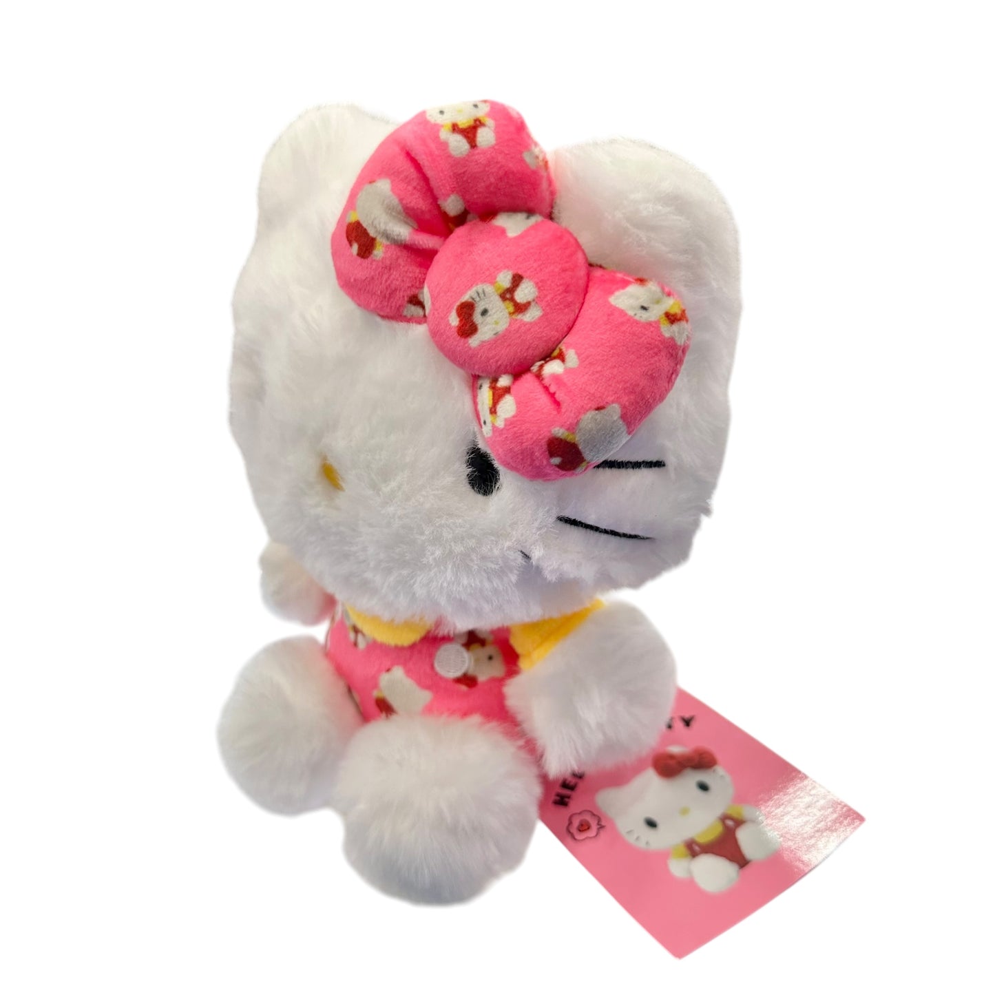Hello Kitty "Photo" Bean Doll