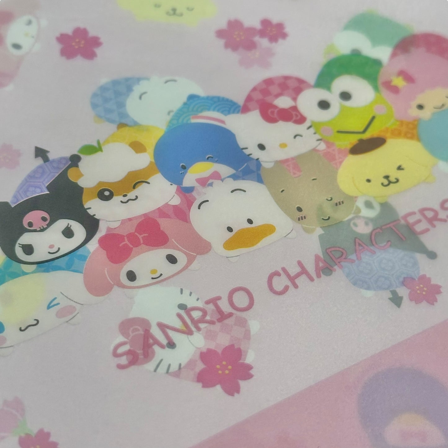 Sanrio Character Vinyl Pouch
