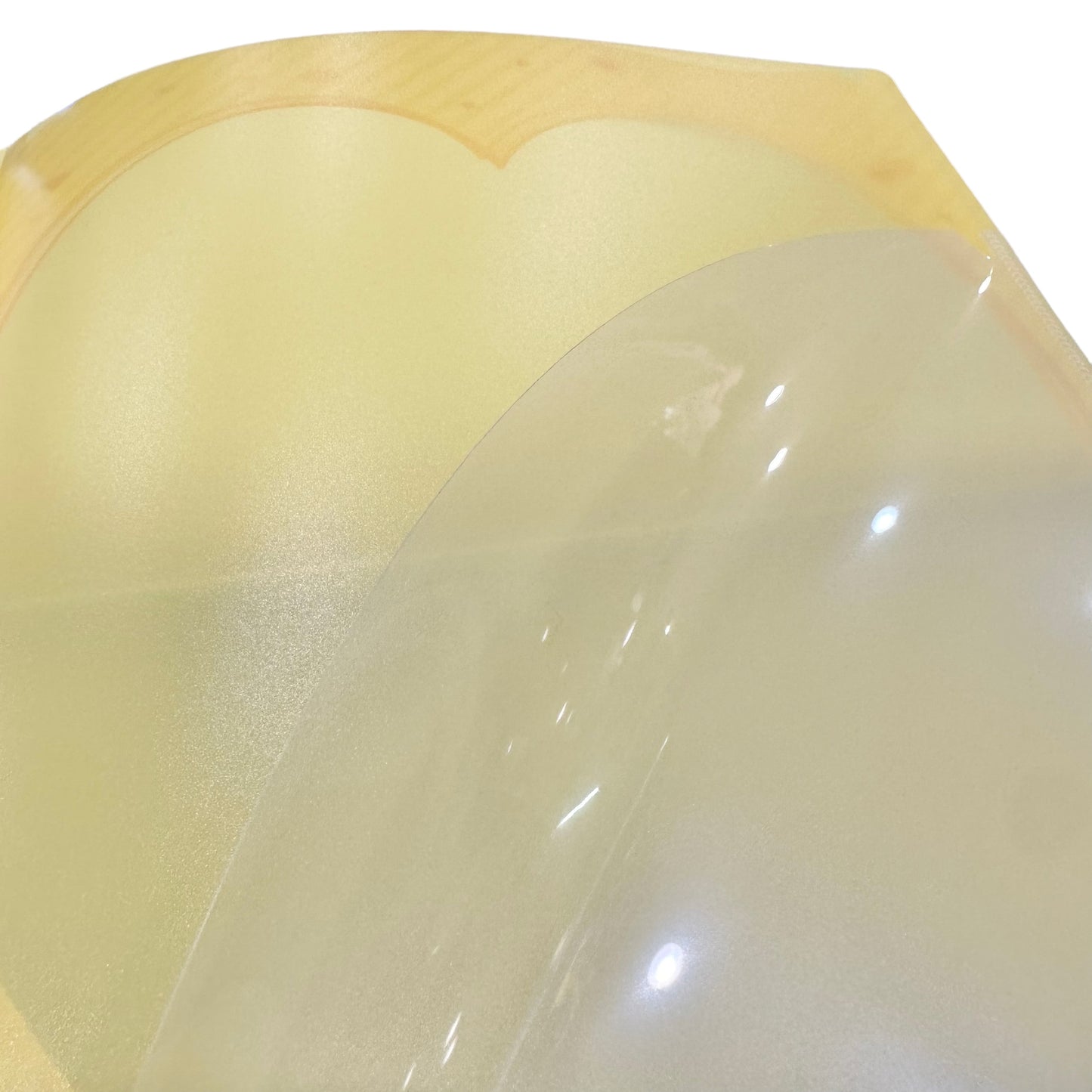 Pompompurin A4 ID File Folder