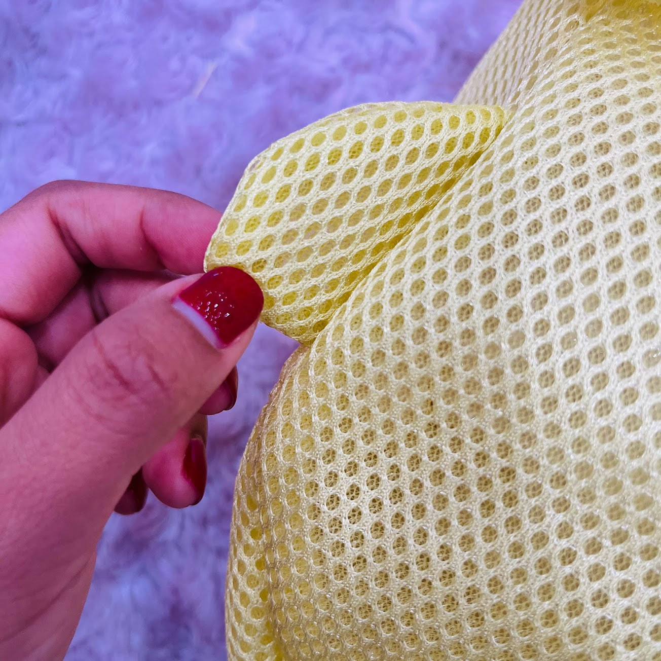 Pompompurin Laundry Bag