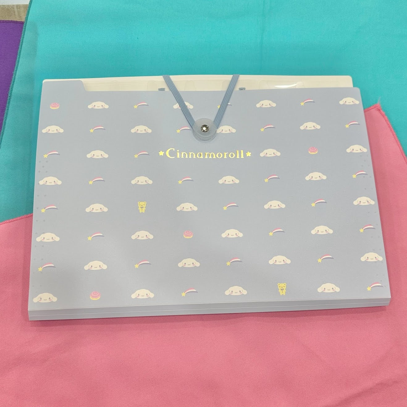 Cinnamoroll Document File