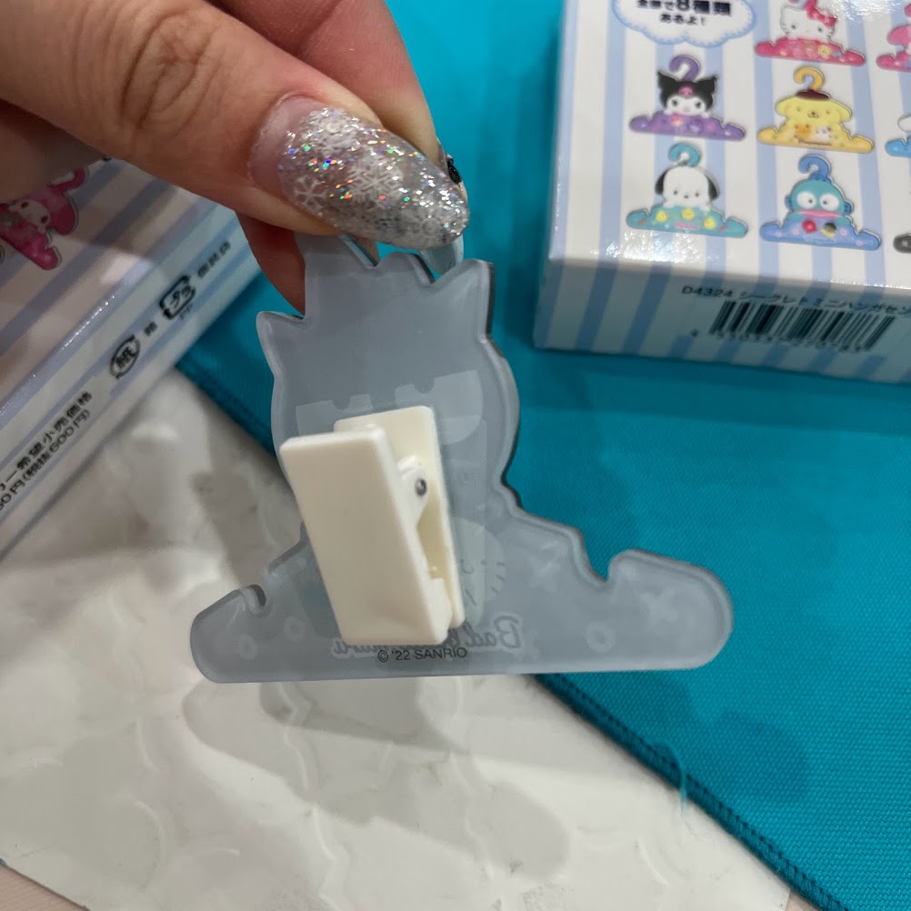 Sanrio "Wash" Secret Clips