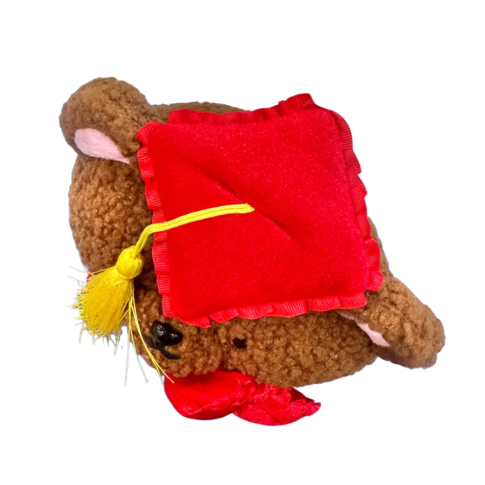 Hello Kitty "Brown Bear Graduation" 10in Plush