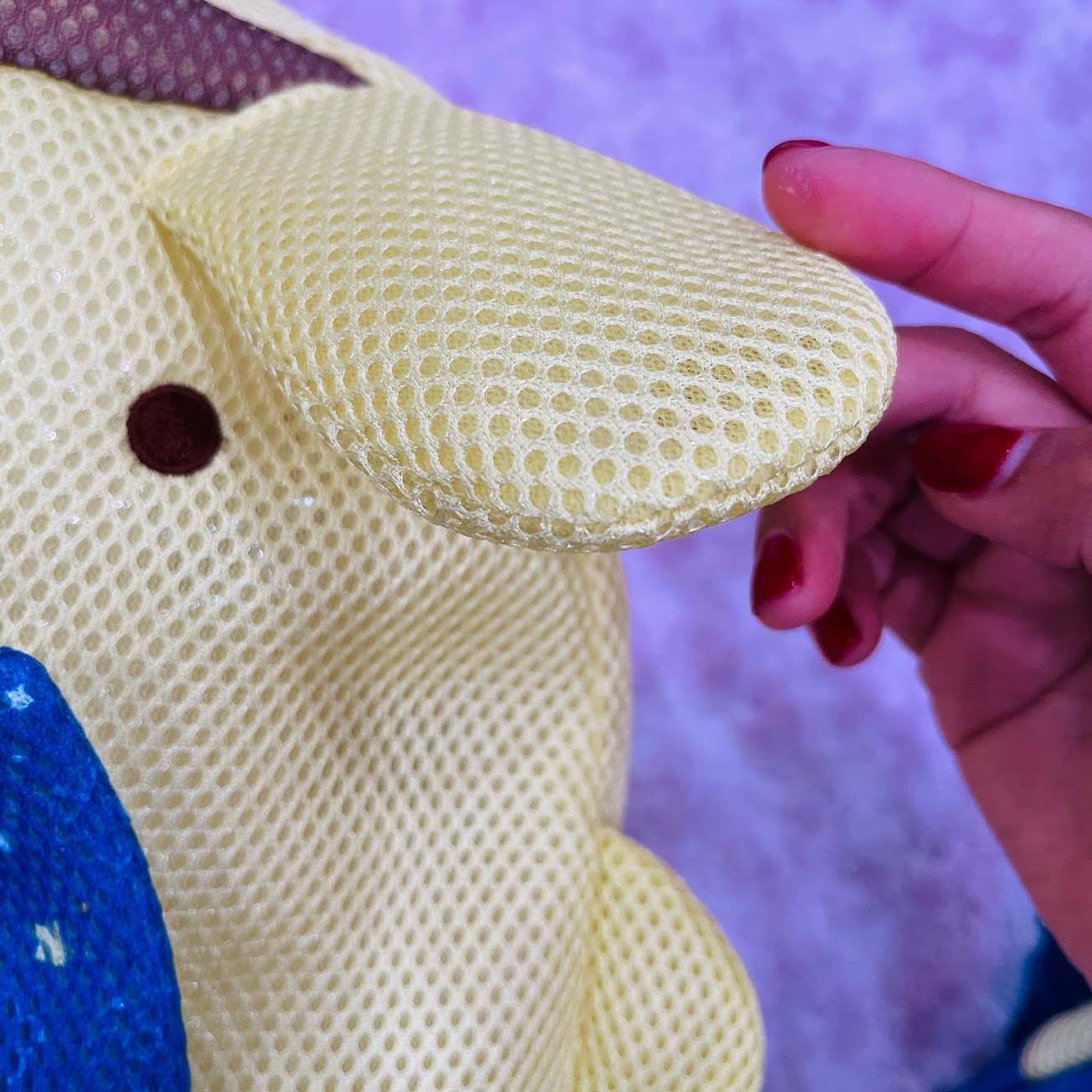 Pompompurin Laundry Bag