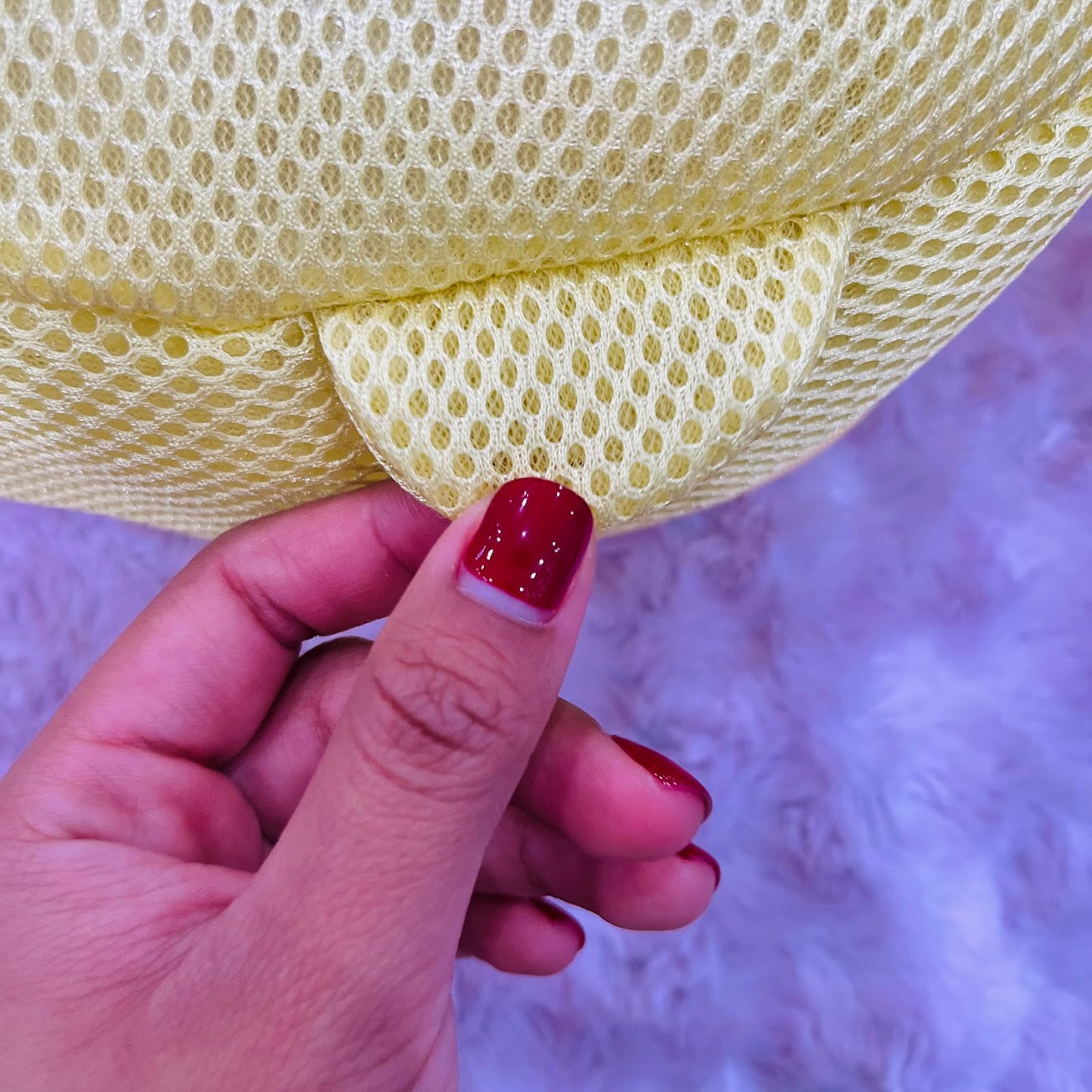 Pompompurin Laundry Bag