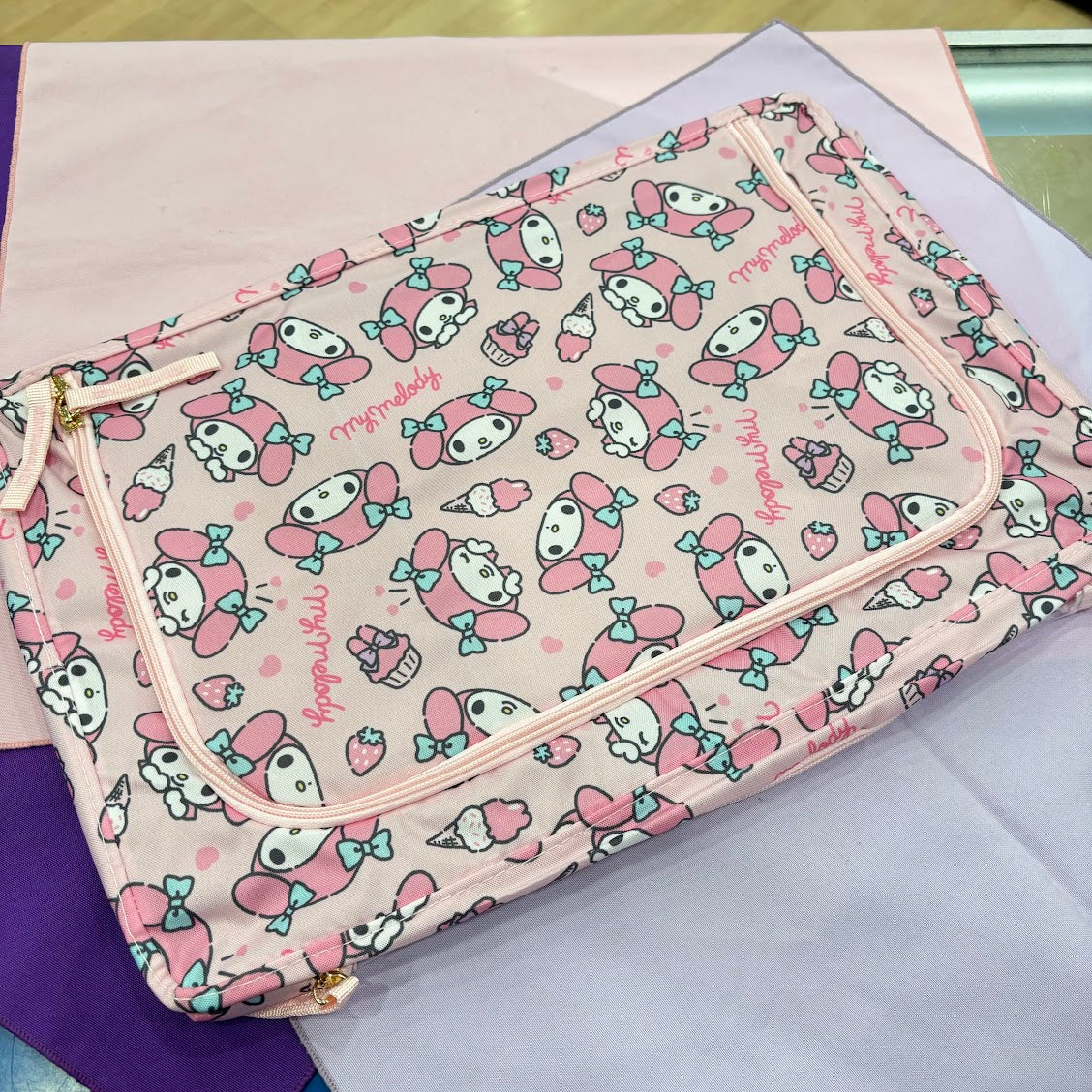 My Melody "Window" Storage Case