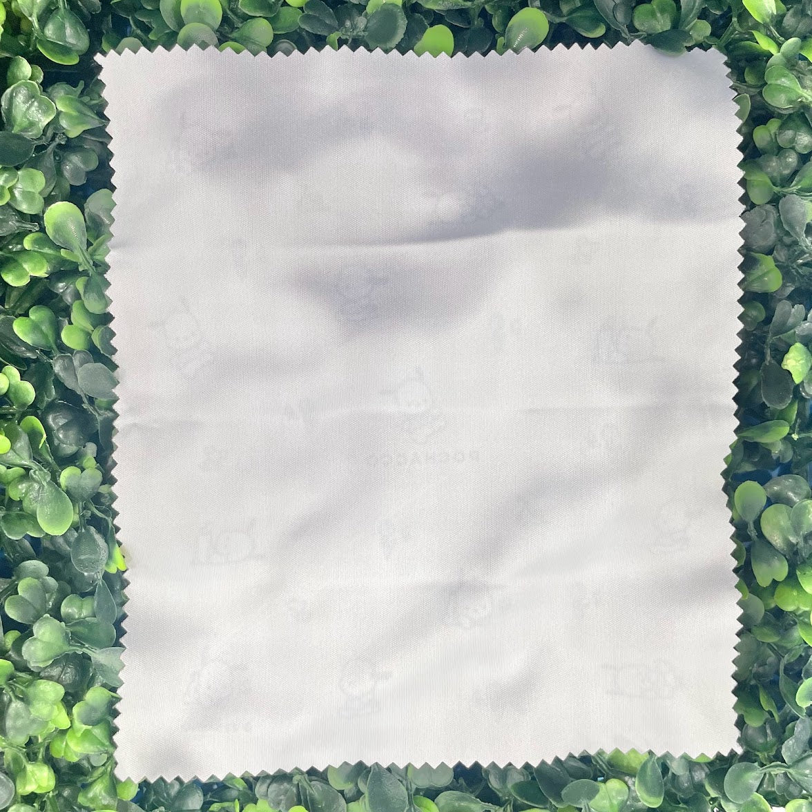 Pochacco Glasses Case