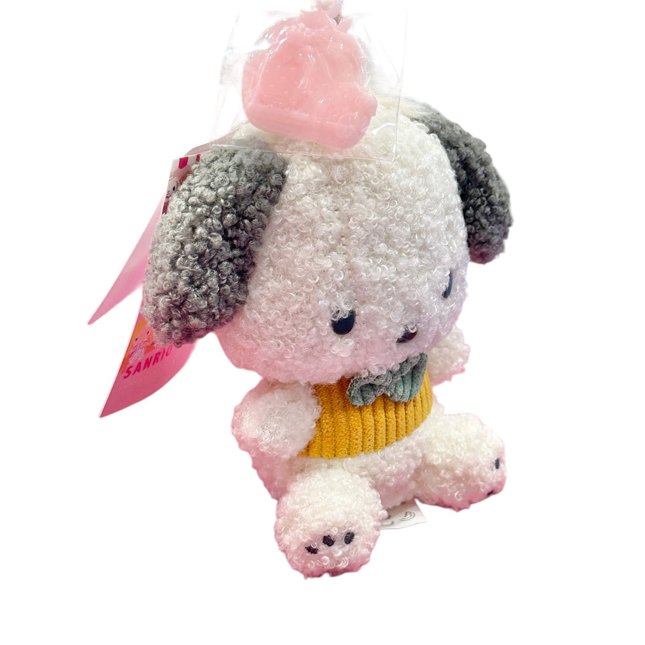 Pochacco "FSD" Keychain w/ Mascot