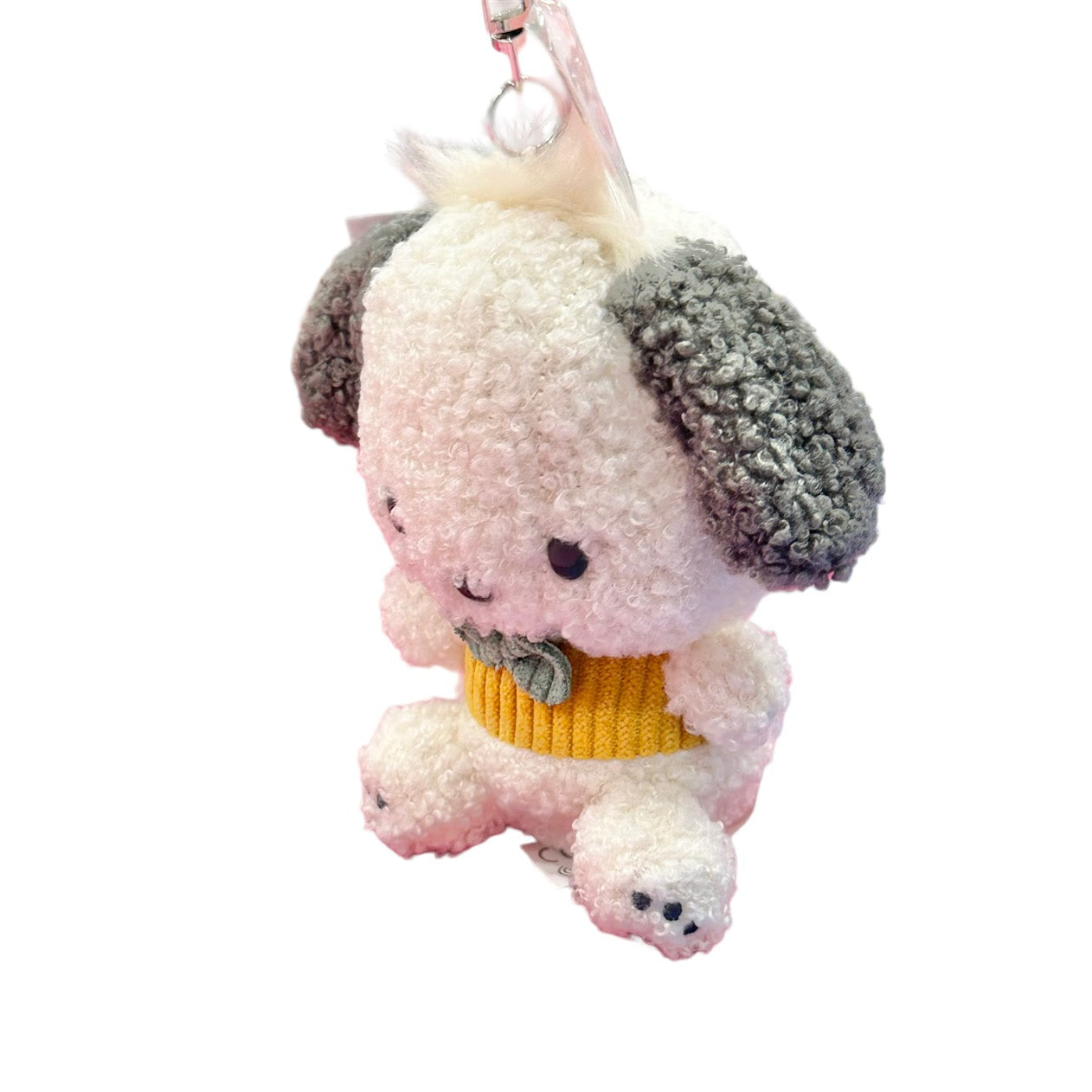 Pochacco "FSD" Keychain w/ Mascot