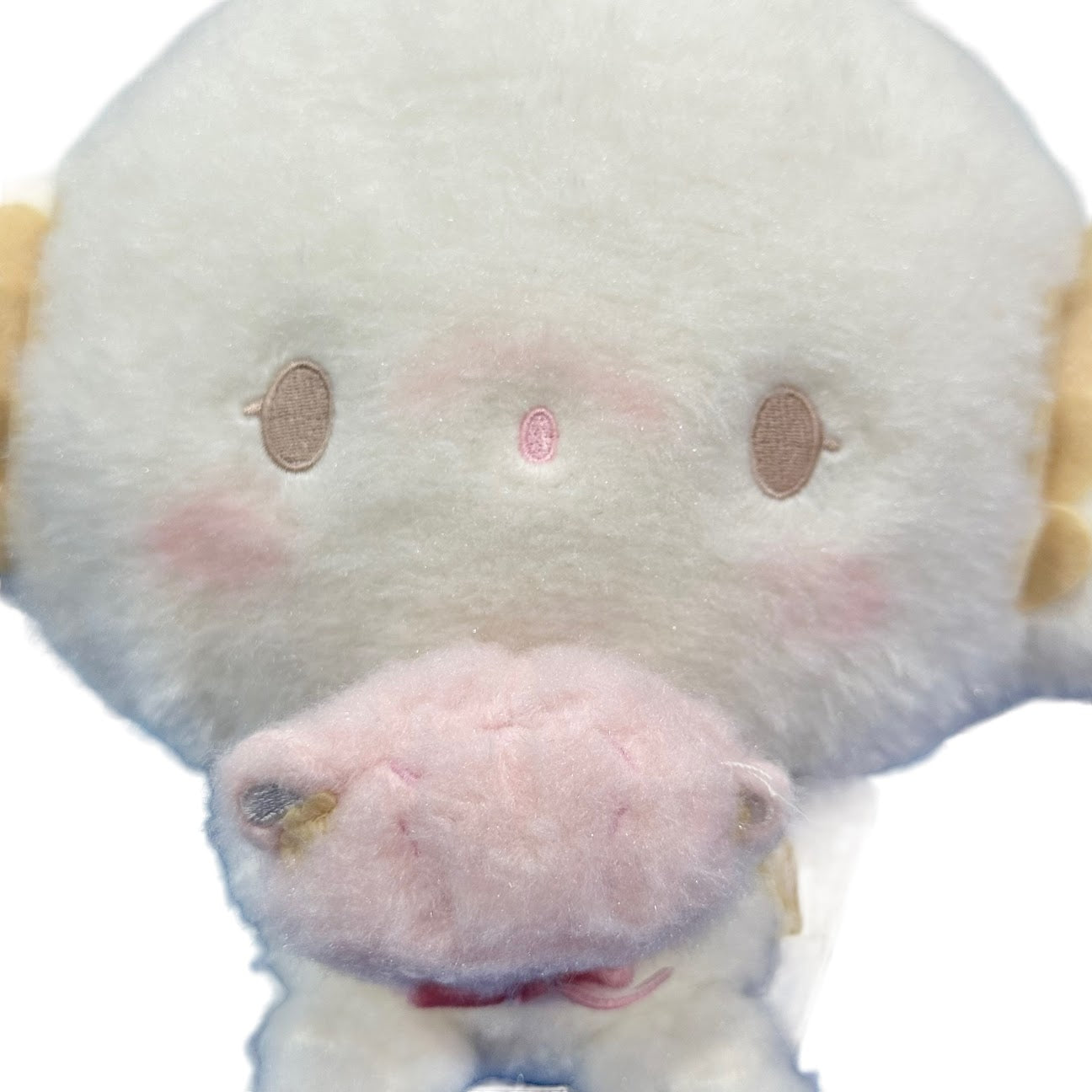 Cogimyun "Bear" Plush