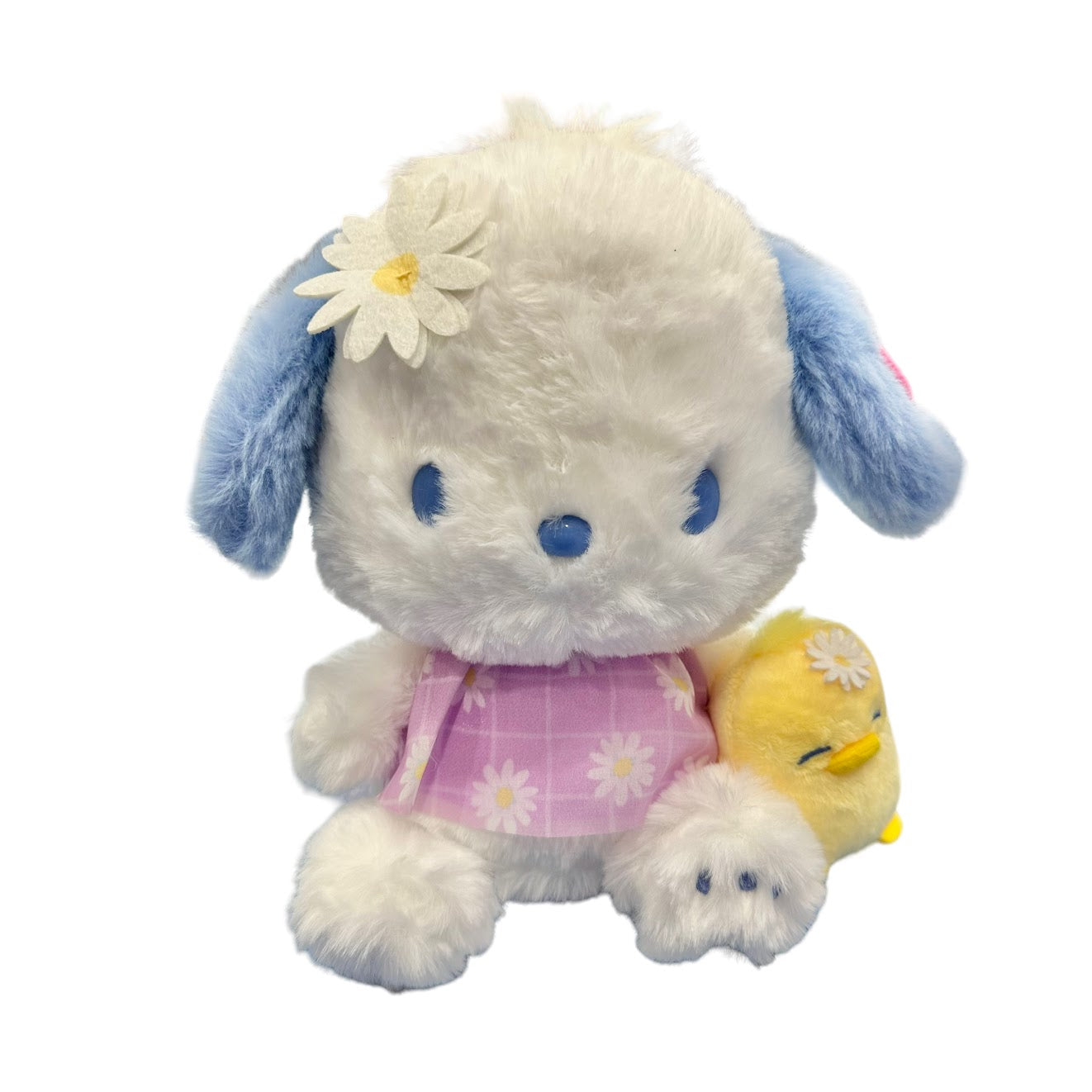 Pochacco "Daisy" Plush