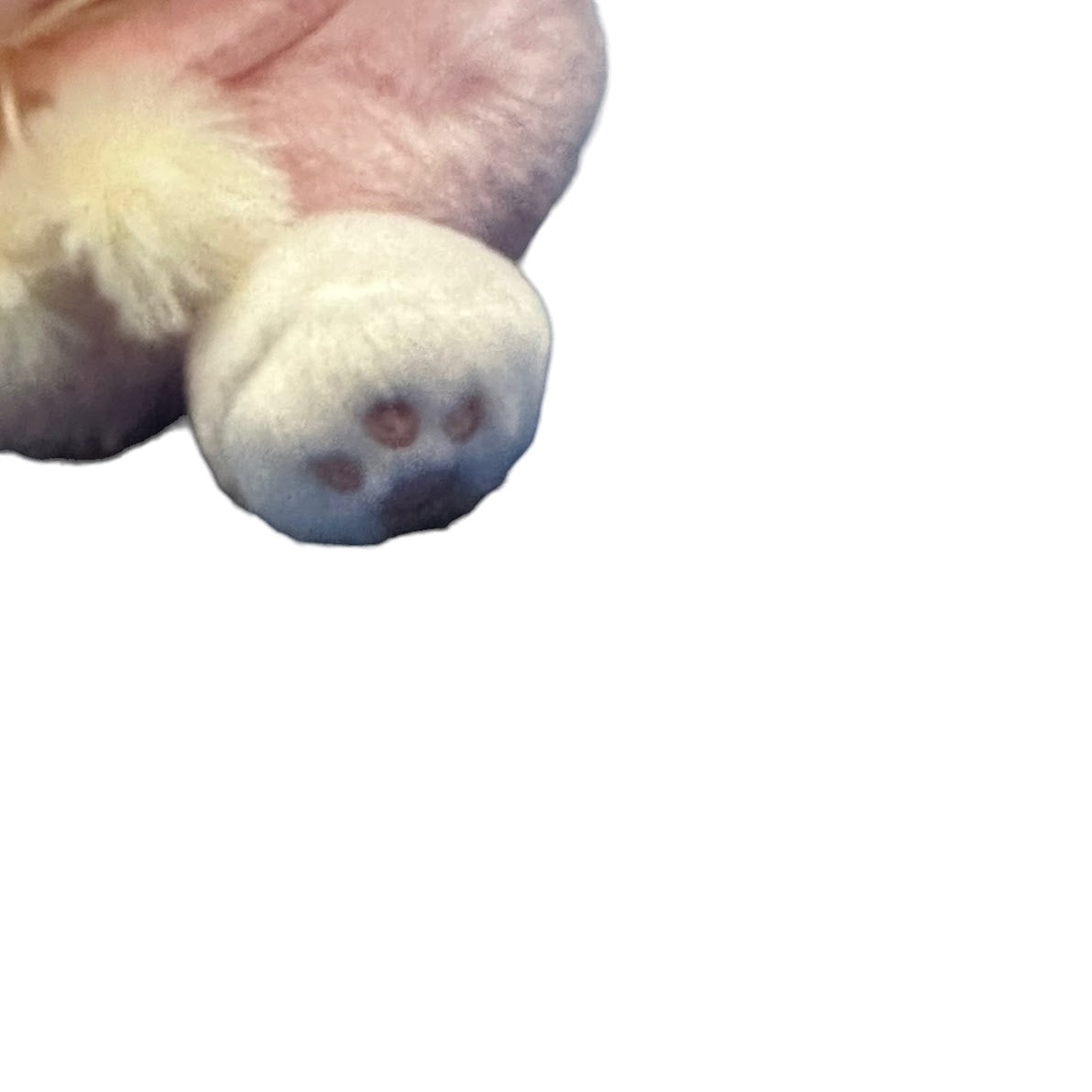 My Melody "Forest" Plush