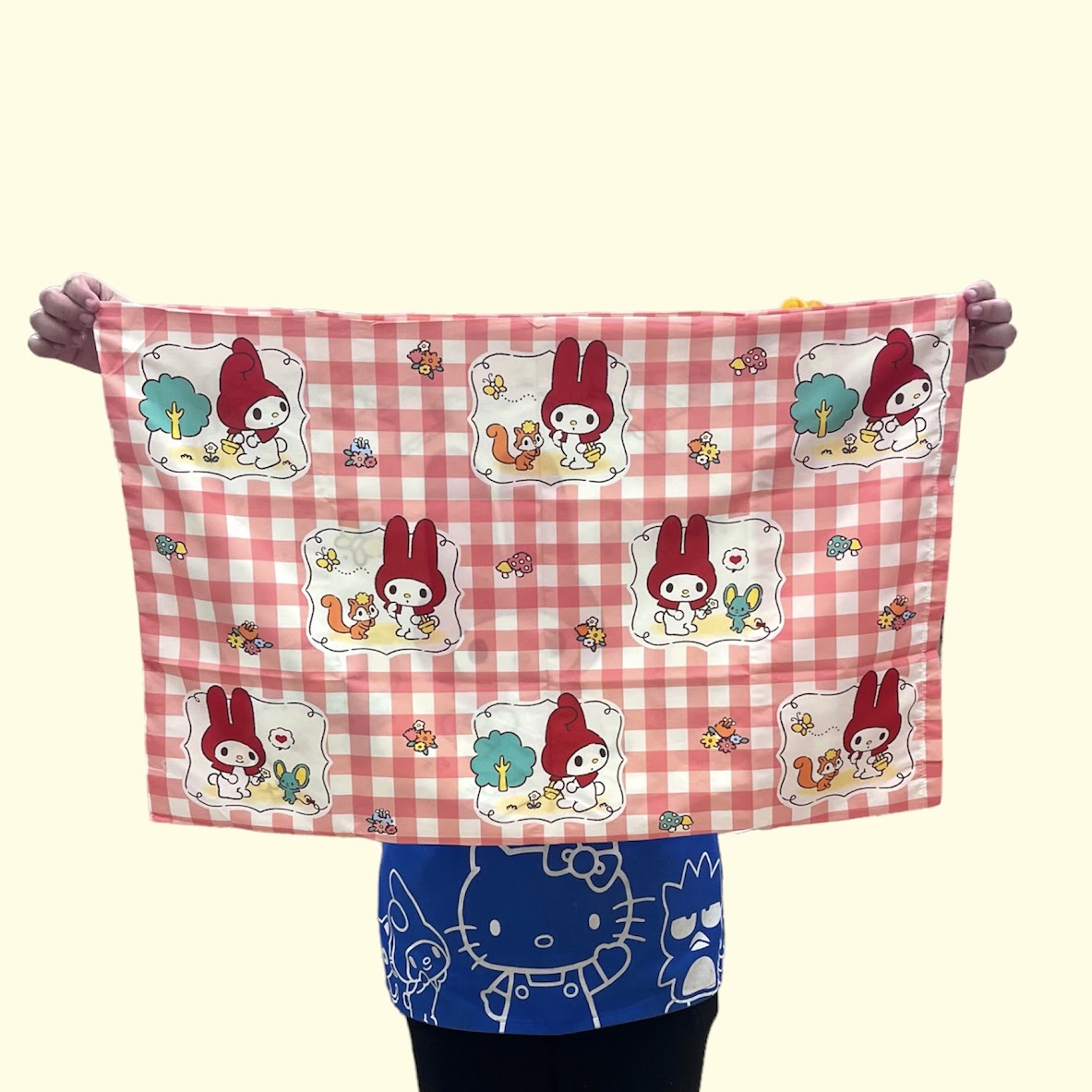 My Melody Pillow Cover